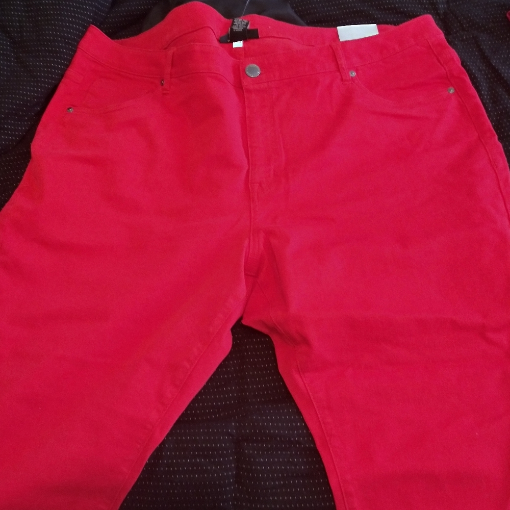 Lane Bryant shorts